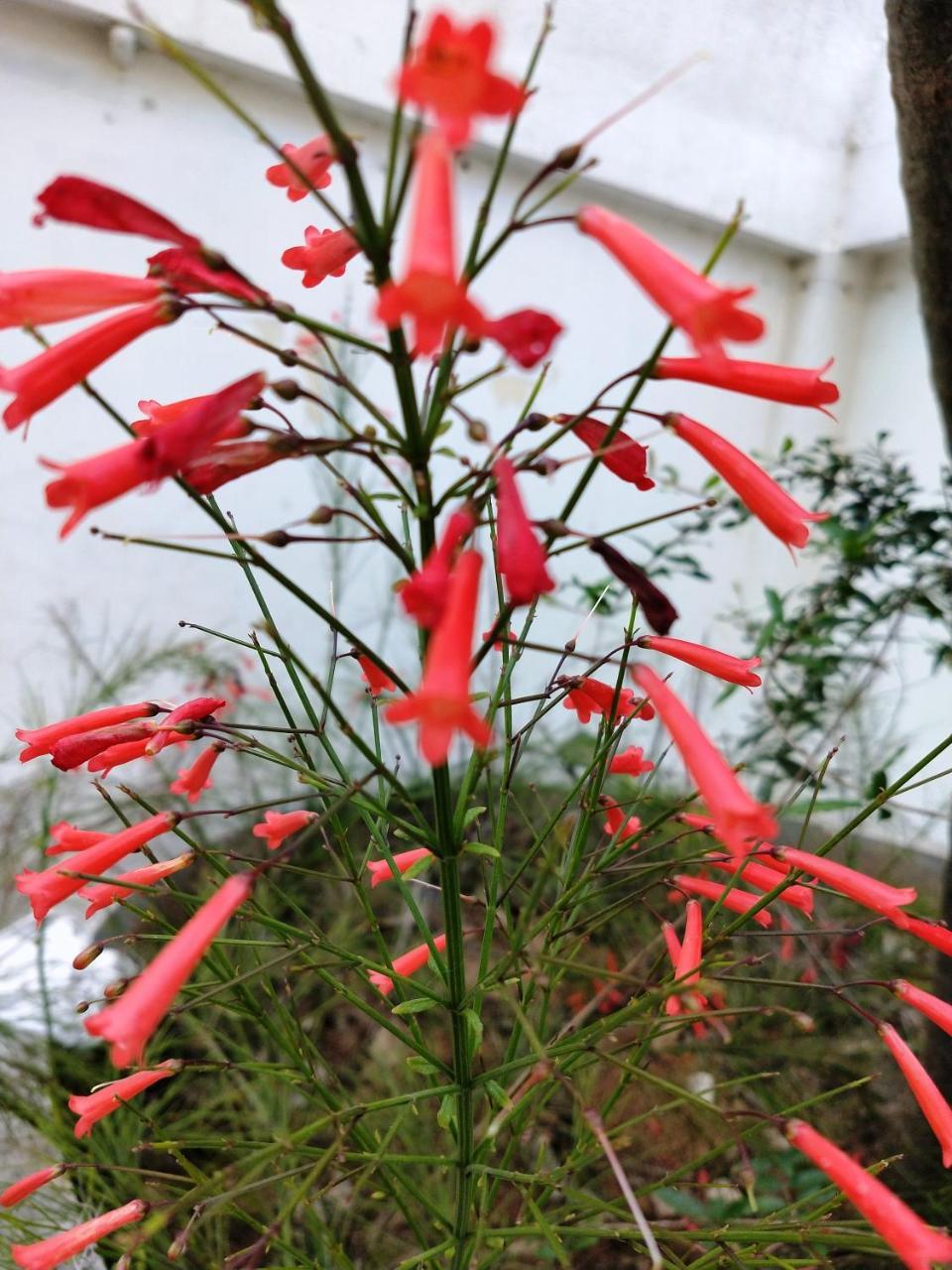 钦奈Pebbles公寓 外观 照片